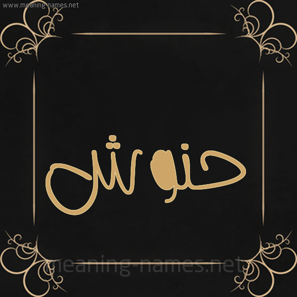 شكل 14 الإسم على خلفية سوداء واطار برواز ذهبي  صورة اسم حَنُّوش HANOOSH