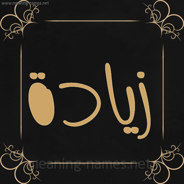 صورة اسم زيادة Ziada شكل 14 الإسم على خلفية سوداء واطار برواز ذهبي 