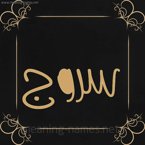 صورة اسم سروج Srwj شكل 14 الإسم على خلفية سوداء واطار برواز ذهبي 