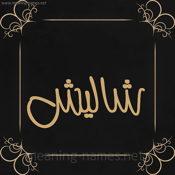 شكل 14 الإسم على خلفية سوداء واطار برواز ذهبي  صورة اسم شاليش SHALISH