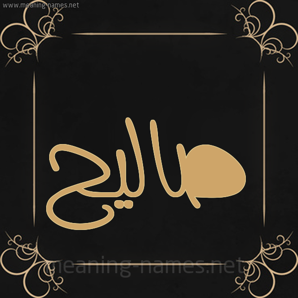 شكل 14 الإسم على خلفية سوداء واطار برواز ذهبي  صورة اسم صاليح Saleh