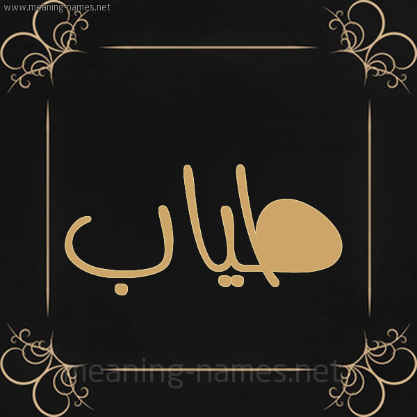 صورة اسم طياب Tyab شكل 14 الإسم على خلفية سوداء واطار برواز ذهبي 