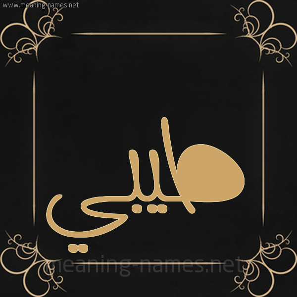 صورة اسم طيبي Tayeb شكل 14 الإسم على خلفية سوداء واطار برواز ذهبي 