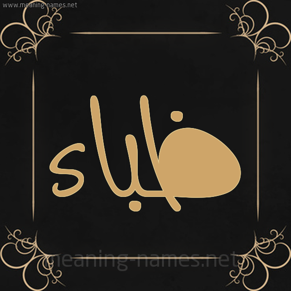 صورة اسم ظباء ZBAA شكل 14 الإسم على خلفية سوداء واطار برواز ذهبي 