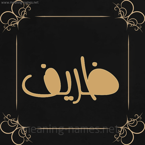 صورة اسم ظريف Zryf شكل 14 الإسم على خلفية سوداء واطار برواز ذهبي 