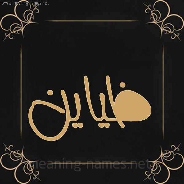 صورة اسم ظياين Zayn شكل 14 الإسم على خلفية سوداء واطار برواز ذهبي 