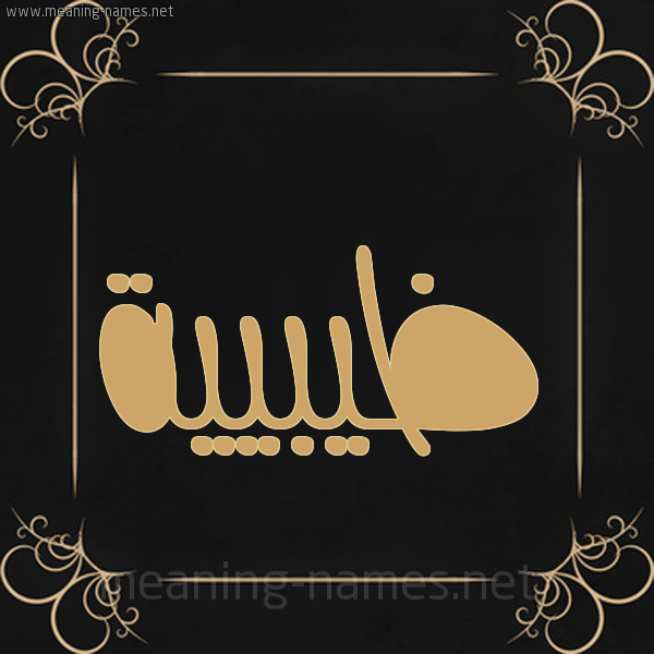 صورة اسم ظيبيية Zabia شكل 14 الإسم على خلفية سوداء واطار برواز ذهبي 