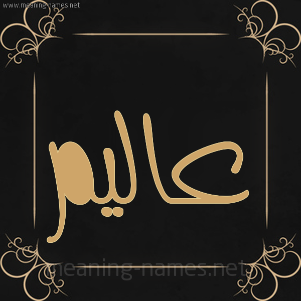 شكل 14 الإسم على خلفية سوداء واطار برواز ذهبي  صورة اسم عاليم Alem