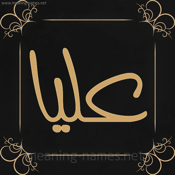 شكل 14 الإسم على خلفية سوداء واطار برواز ذهبي  صورة اسم عليا Alya