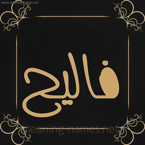 شكل 14 الإسم على خلفية سوداء واطار برواز ذهبي  صورة اسم فاليح Faleh