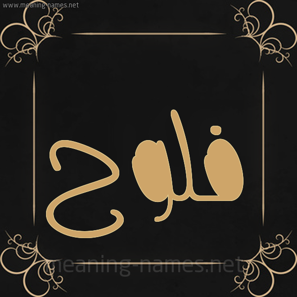 شكل 14 الإسم على خلفية سوداء واطار برواز ذهبي صورة اسم فَلُّوح FALOOH شكل 14 الإسم على خلفية سوداء واطار برواز ذهبي صورة اسم فَلُّوح FALOOH