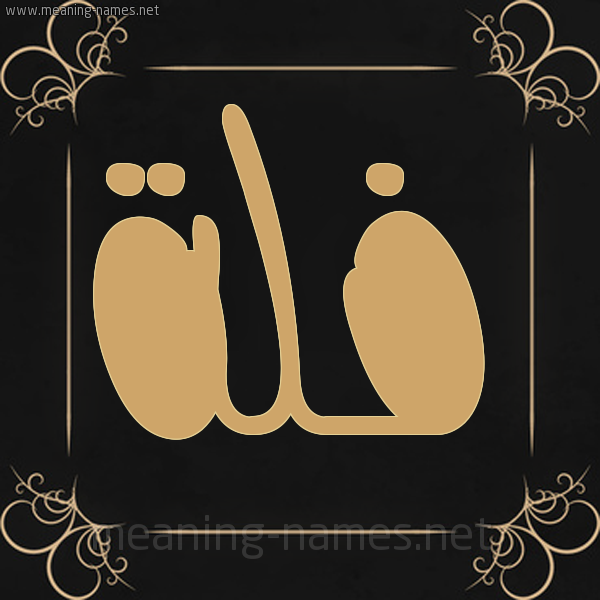 شكل 14 الإسم على خلفية سوداء واطار برواز ذهبي صورة اسم فُلَّة FOLAH شكل 14 الإسم على خلفية سوداء واطار برواز ذهبي صورة اسم فُلَّة FOLAH