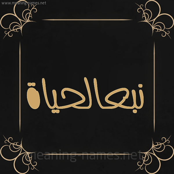 شكل 14 الإسم على خلفية سوداء واطار برواز ذهبي  صورة اسم نبعالحياة Nb'alhyah