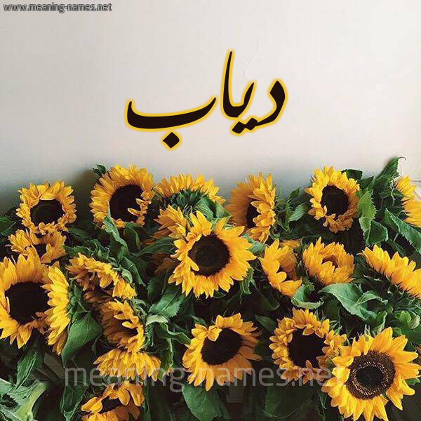 صور اسم دياب قاموس الأسماء و المعاني