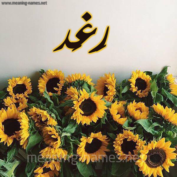 كل زخرفة وحروف ر غ د زخرفة أسماء كول