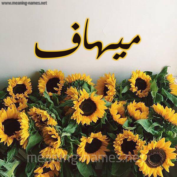 بشارة مولودة ميهاف Youtube