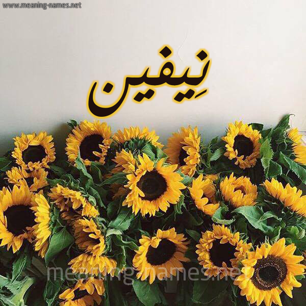 كل زخرفة وحروف Neveen زخرفة أسماء كول