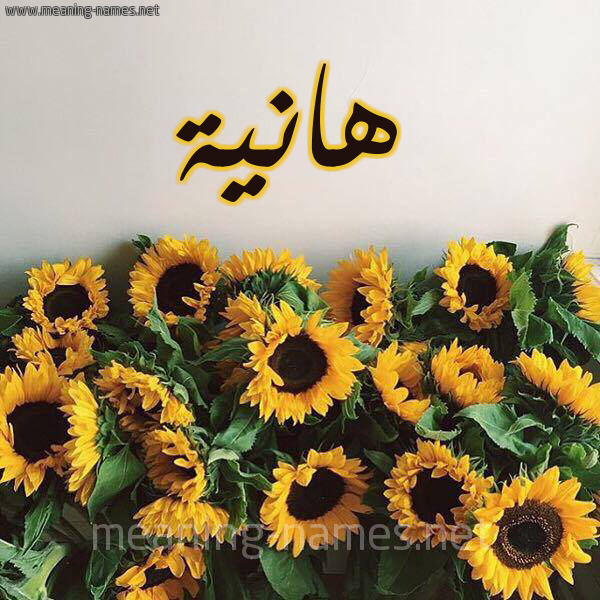 صور اسم هانية قاموس الأسماء و المعاني
