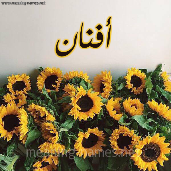 صورة اسم أفنان Afnan شكل 17 صوره دوار الشمس للإسم بخط رقعة