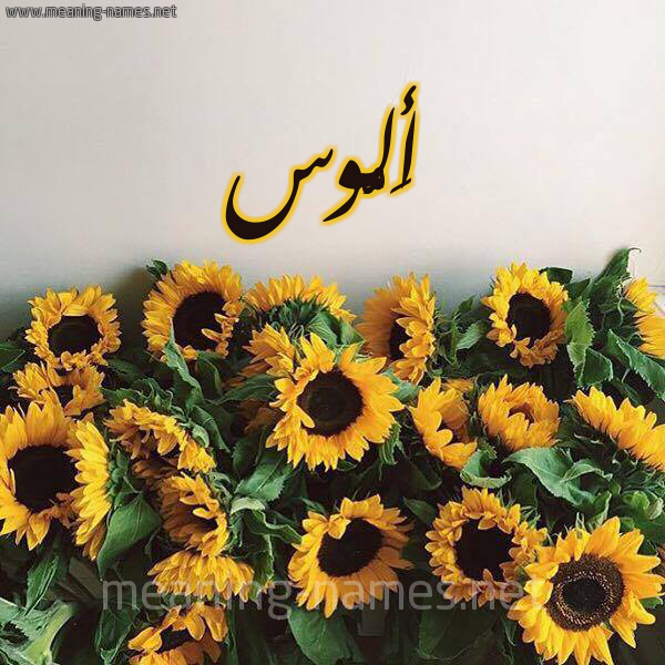 صورة اسم أَلُّوس AALOOS شكل 17 صوره دوار الشمس للإسم بخط رقعة صورة اسم أَلُّوس AALOOS شكل 17 صوره دوار الشمس للإسم بخط رقعة