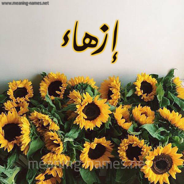 صورة اسم إزهاء Ezhaa شكل 17 صوره دوار الشمس للإسم بخط رقعة