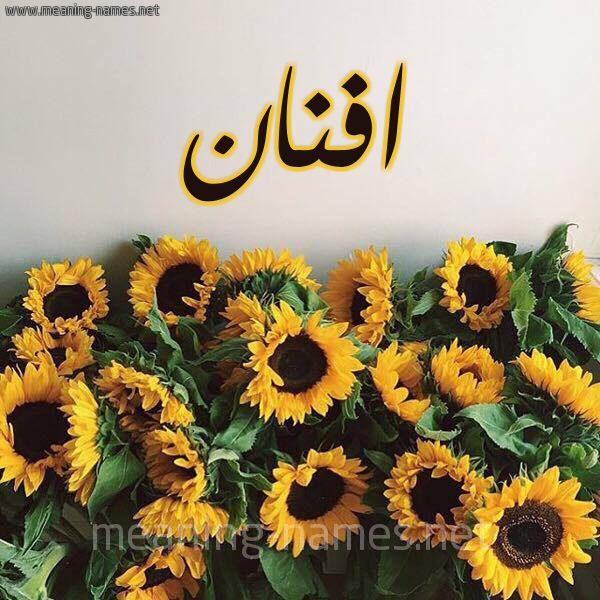 صورة اسم افنان Afnan شكل 17 صوره دوار الشمس للإسم بخط رقعة