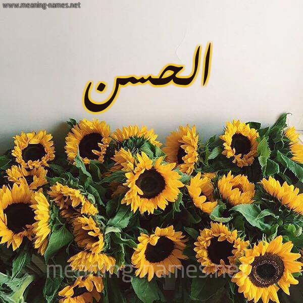 صورة اسم الحسن Alhassan شكل 17 صوره دوار الشمس للإسم بخط رقعة