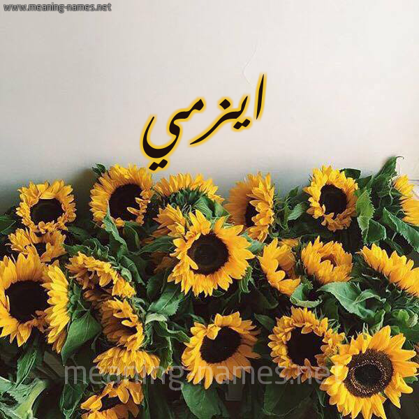 صورة اسم ايزمي ezmi شكل 17 صوره دوار الشمس للإسم بخط رقعة
