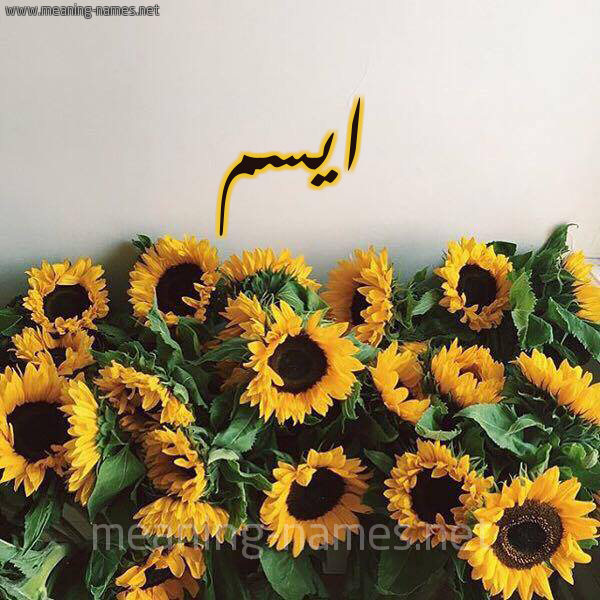 صورة اسم ايسم Aysam شكل 17 صوره دوار الشمس للإسم بخط رقعة