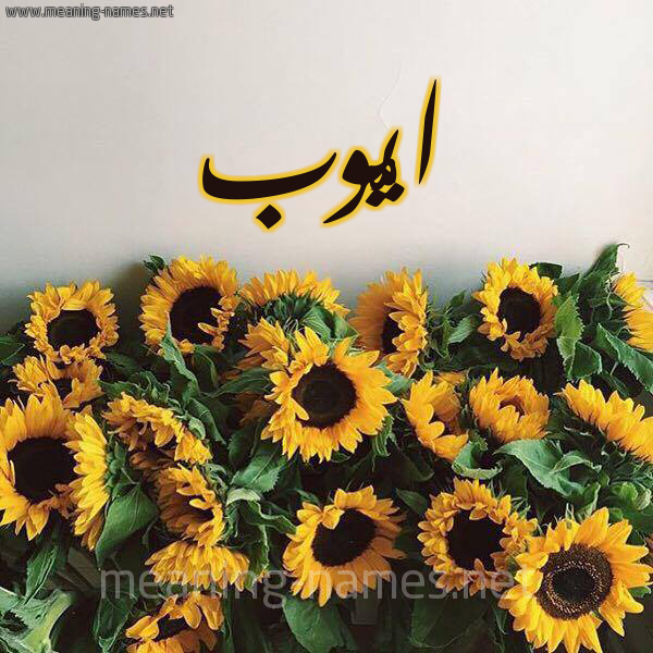 صورة اسم ايُّوب Aioub شكل 17 صوره دوار الشمس للإسم بخط رقعة صورة اسم ايُّوب Aioub شكل 17 صوره دوار الشمس للإسم بخط رقعة