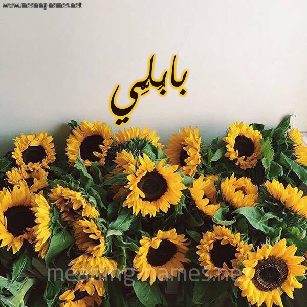 شكل 17 صوره دوار الشمس للإسم بخط رقعة صورة اسم بابُلِّي BABOLEI شكل 17 صوره دوار الشمس للإسم بخط رقعة صورة اسم بابُلِّي BABOLEI