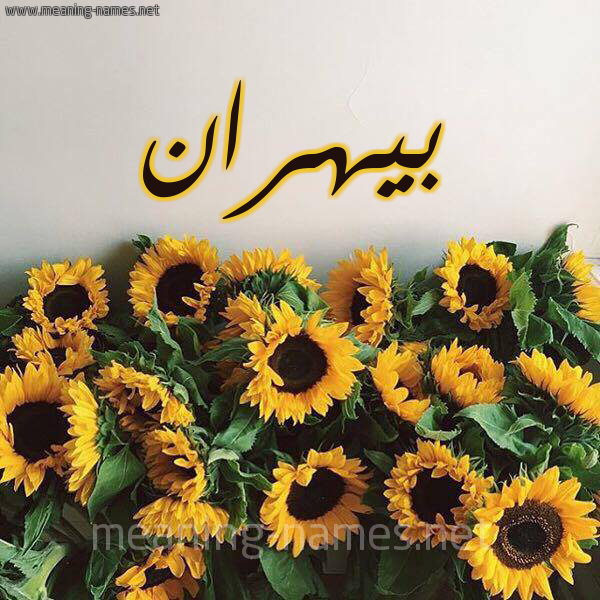 صورة اسم بيهران Bahran شكل 17 صوره دوار الشمس للإسم بخط رقعة