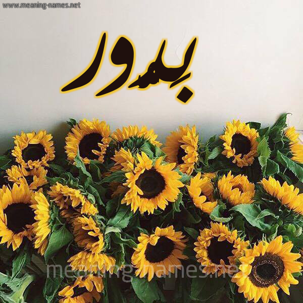 شكل 17 صوره دوار الشمس للإسم بخط رقعة صورة اسم بَدُّور BADOOR شكل 17 صوره دوار الشمس للإسم بخط رقعة صورة اسم بَدُّور BADOOR