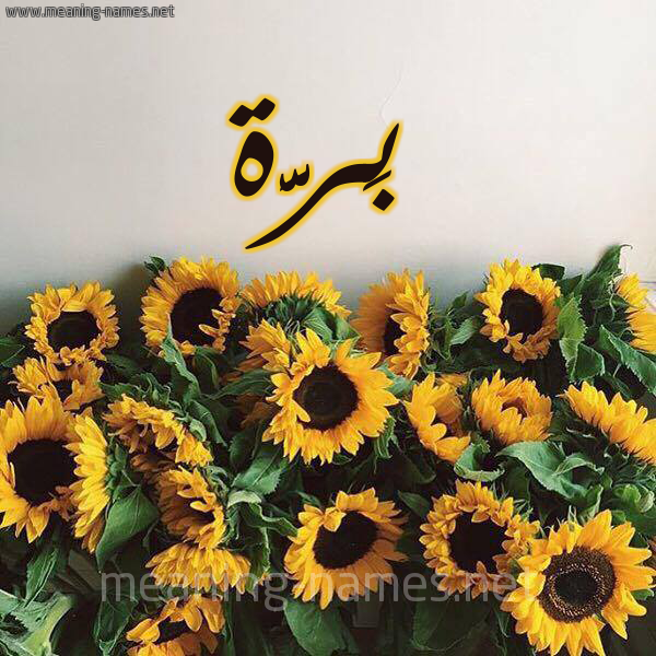 صورة اسم بَرَّة BARAH شكل 17 صوره دوار الشمس للإسم بخط رقعة صورة اسم بَرَّة BARAH شكل 17 صوره دوار الشمس للإسم بخط رقعة