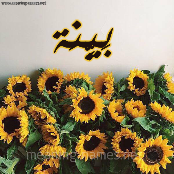 شكل 17 صوره دوار الشمس للإسم بخط رقعة صورة اسم بَيِّنَة BAIENAH شكل 17 صوره دوار الشمس للإسم بخط رقعة صورة اسم بَيِّنَة BAIENAH