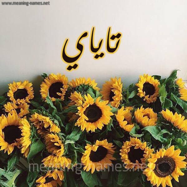 صورة اسم تاياي Taya شكل 17 صوره دوار الشمس للإسم بخط رقعة