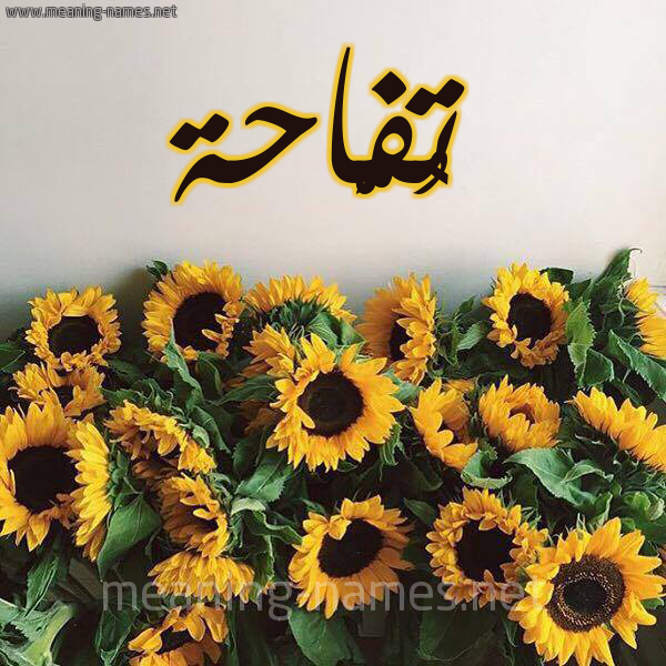 صورة اسم تُفَّاحة TOFAAHH شكل 17 صوره دوار الشمس للإسم بخط رقعة صورة اسم تُفَّاحة TOFAAHH شكل 17 صوره دوار الشمس للإسم بخط رقعة