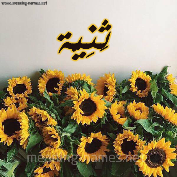 صورة اسم ثَنِيَّة THANEIAH شكل 17 صوره دوار الشمس للإسم بخط رقعة صورة اسم ثَنِيَّة THANEIAH شكل 17 صوره دوار الشمس للإسم بخط رقعة