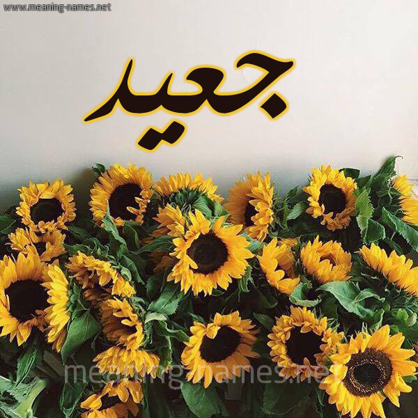 صورة اسم جعيد Jaad شكل 17 صوره دوار الشمس للإسم بخط رقعة