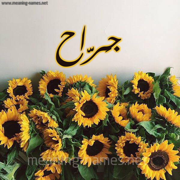 صورة اسم جَرَّاح GARAAH شكل 17 صوره دوار الشمس للإسم بخط رقعة صورة اسم جَرَّاح GARAAH شكل 17 صوره دوار الشمس للإسم بخط رقعة