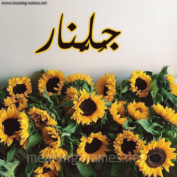 صورة اسم جُلَّنار GOLANAR شكل 17 صوره دوار الشمس للإسم بخط رقعة صورة اسم جُلَّنار GOLANAR شكل 17 صوره دوار الشمس للإسم بخط رقعة