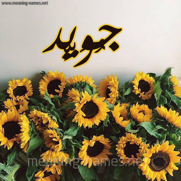 شكل 17 صوره دوار الشمس للإسم بخط رقعة صورة اسم جُوَيِّد GOOAIED شكل 17 صوره دوار الشمس للإسم بخط رقعة صورة اسم جُوَيِّد GOOAIED