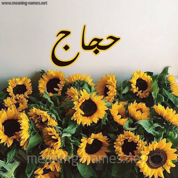 صورة اسم حجاج Hajaj شكل 17 صوره دوار الشمس للإسم بخط رقعة