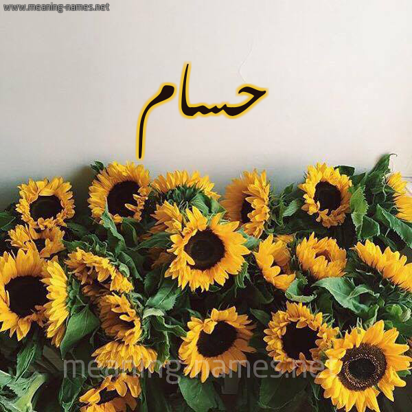 صورة اسم حسام Hossam شكل 17 صوره دوار الشمس للإسم بخط رقعة