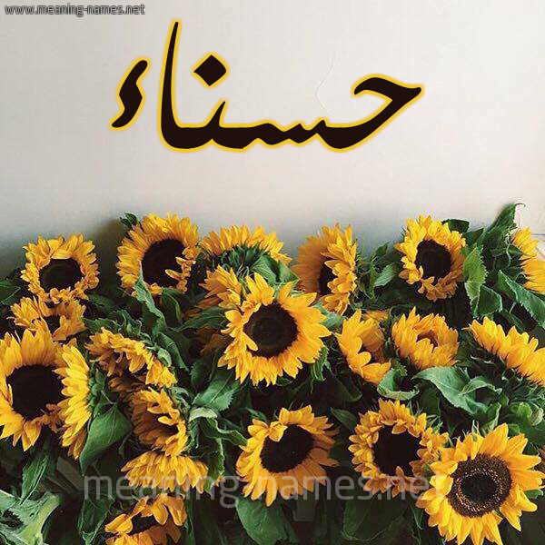 صورة اسم حسناء Hsnaa شكل 17 صوره دوار الشمس للإسم بخط رقعة