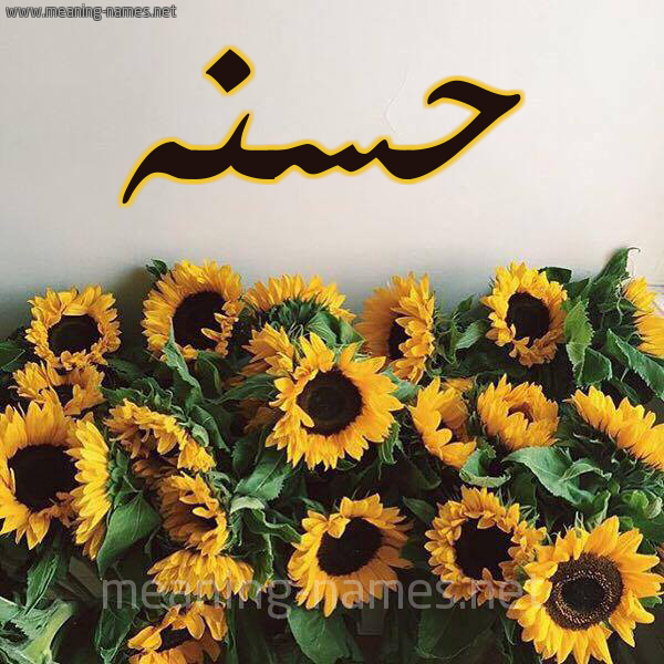 صورة اسم حسنه Hsna شكل 17 صوره دوار الشمس للإسم بخط رقعة