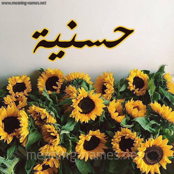 صورة اسم حسنية Hassania شكل 17 صوره دوار الشمس للإسم بخط رقعة