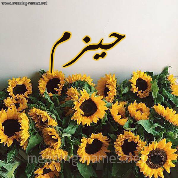 صورة اسم حيزم Hazm شكل 17 صوره دوار الشمس للإسم بخط رقعة