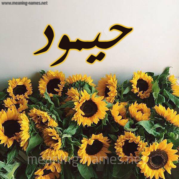 صورة اسم حيمود Hamoud شكل 17 صوره دوار الشمس للإسم بخط رقعة