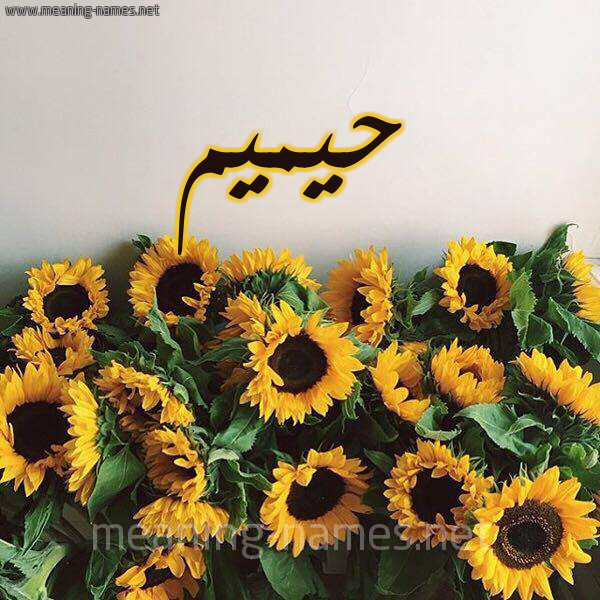 صورة اسم حيميم Hameem شكل 17 صوره دوار الشمس للإسم بخط رقعة